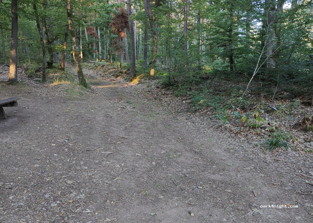 (67600) Kintzheim - — foto 2