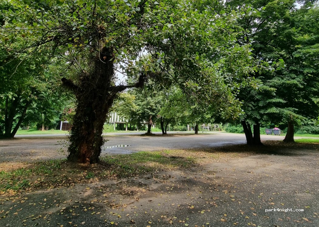 (4803) Vásárosnamény - 35 Tiszavirág sétány — foto
