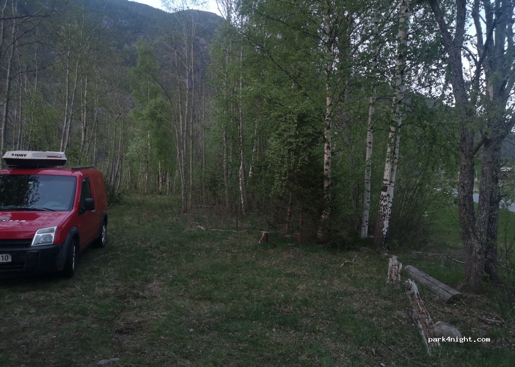 (3629) Veggli - — foto 2