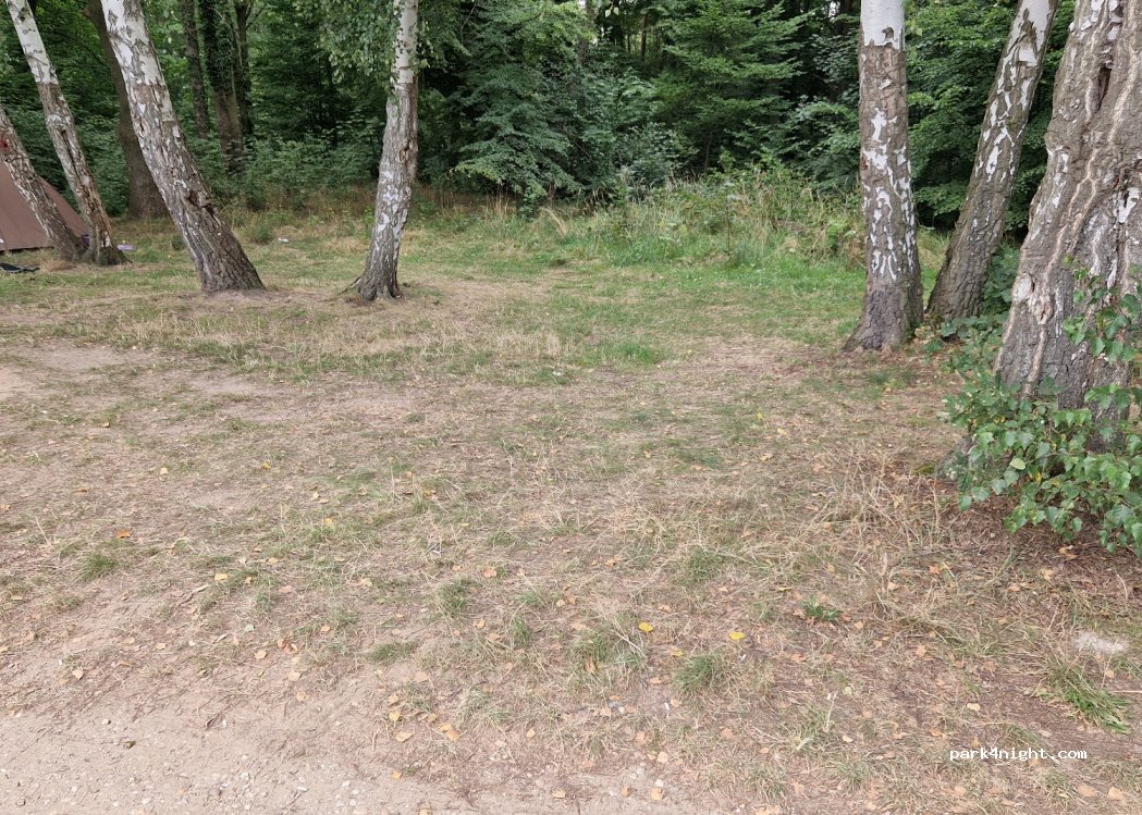 (68) Żagań - — foto