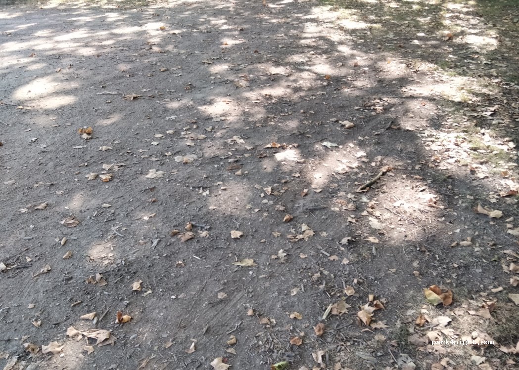 (85420) Bouillé-Courdault - Unnamed Road — foto 2