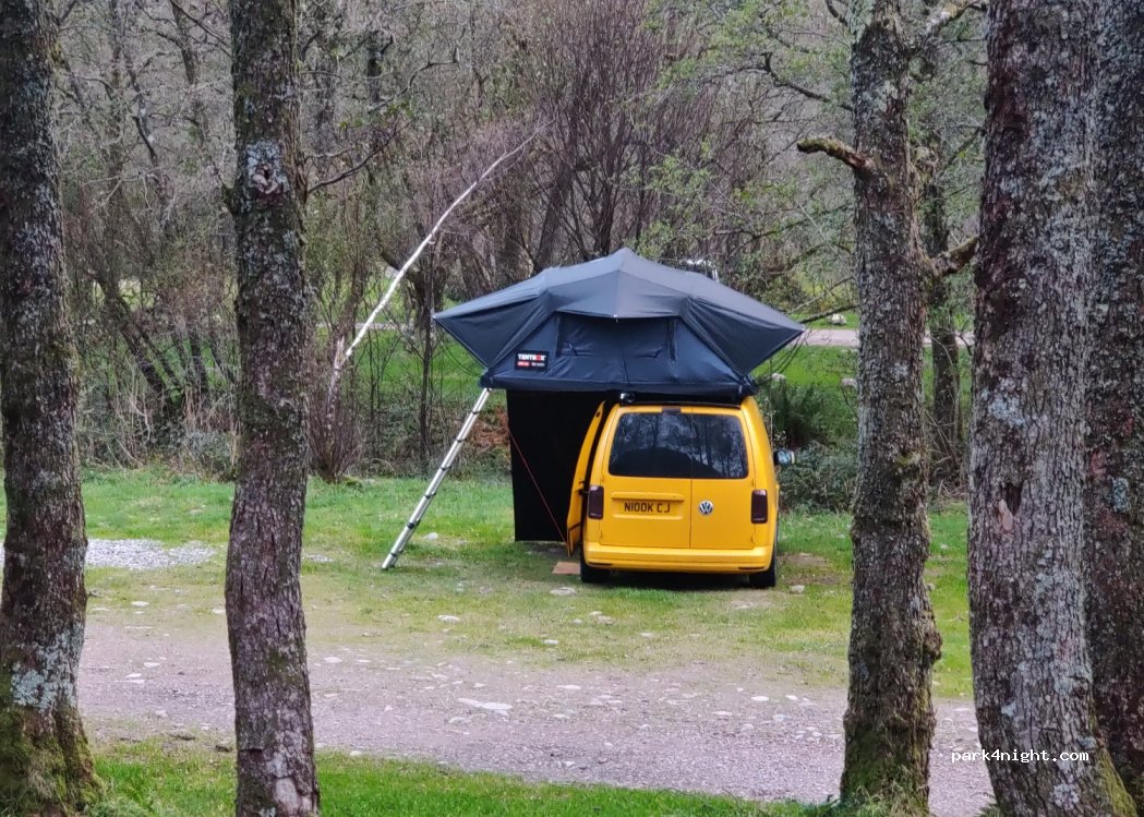 Red Squirrel Campsite Scotland — foto 3