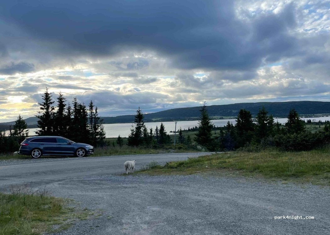 (2618) Lillehammer - 238 Reinavegen — foto 3