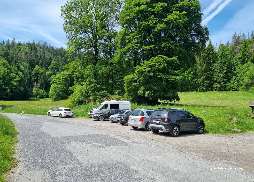 (74300) Arâches-la-Frasse - Chemin Rural dit de la Croix du Ruttet — foto 3