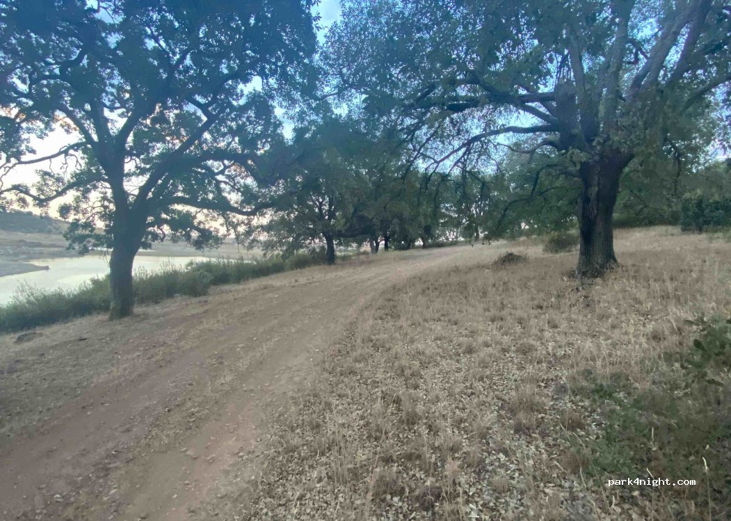 (49162) Palacios del Pan - — foto 2