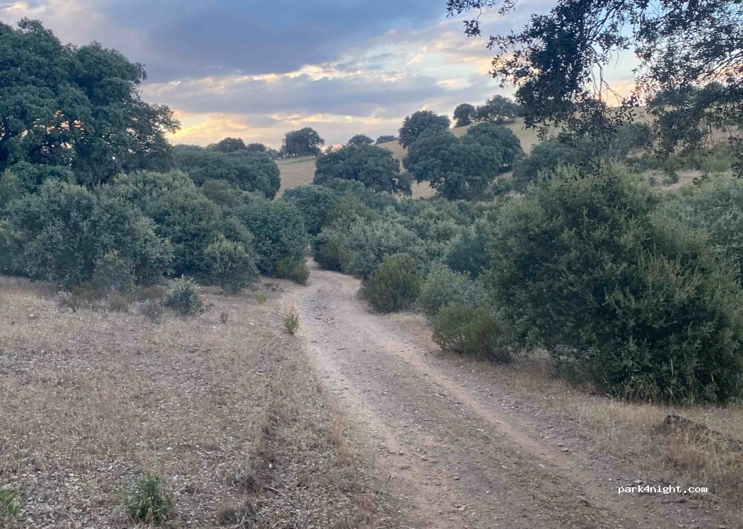 (49162) Palacios del Pan - — foto 3