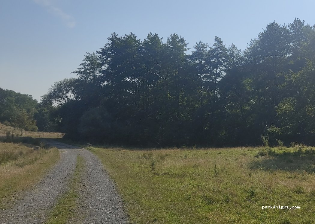 (337291) Teiu - Unnamed road — foto