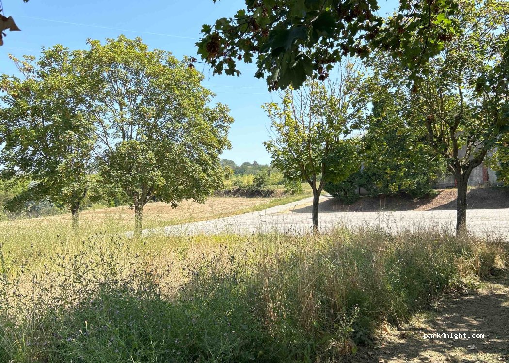 (15040) Pomaro Monferrato - 13 Strada Provinciale 59 — foto