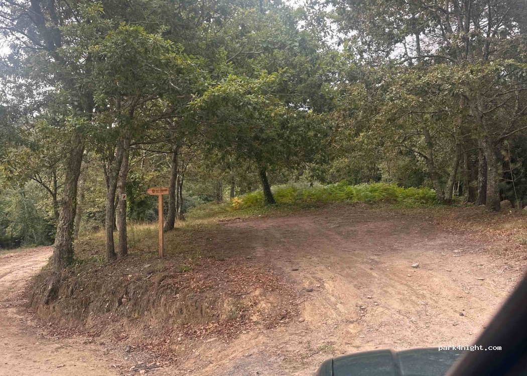 (4740) Belinho - — foto