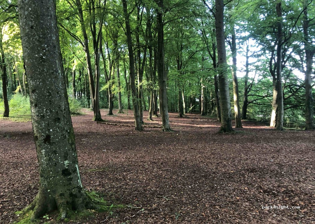 (SP11 9RS) Andover - Elden Road — foto