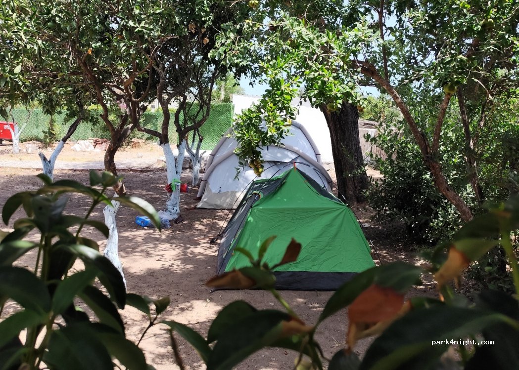 SEZER CARAVAN CAMPİNG — foto 3