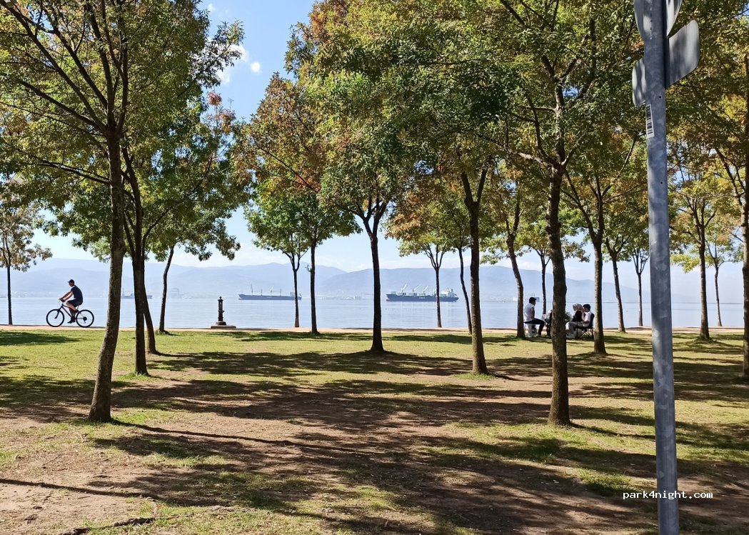 (41040)  - Hatıra Sokak — foto