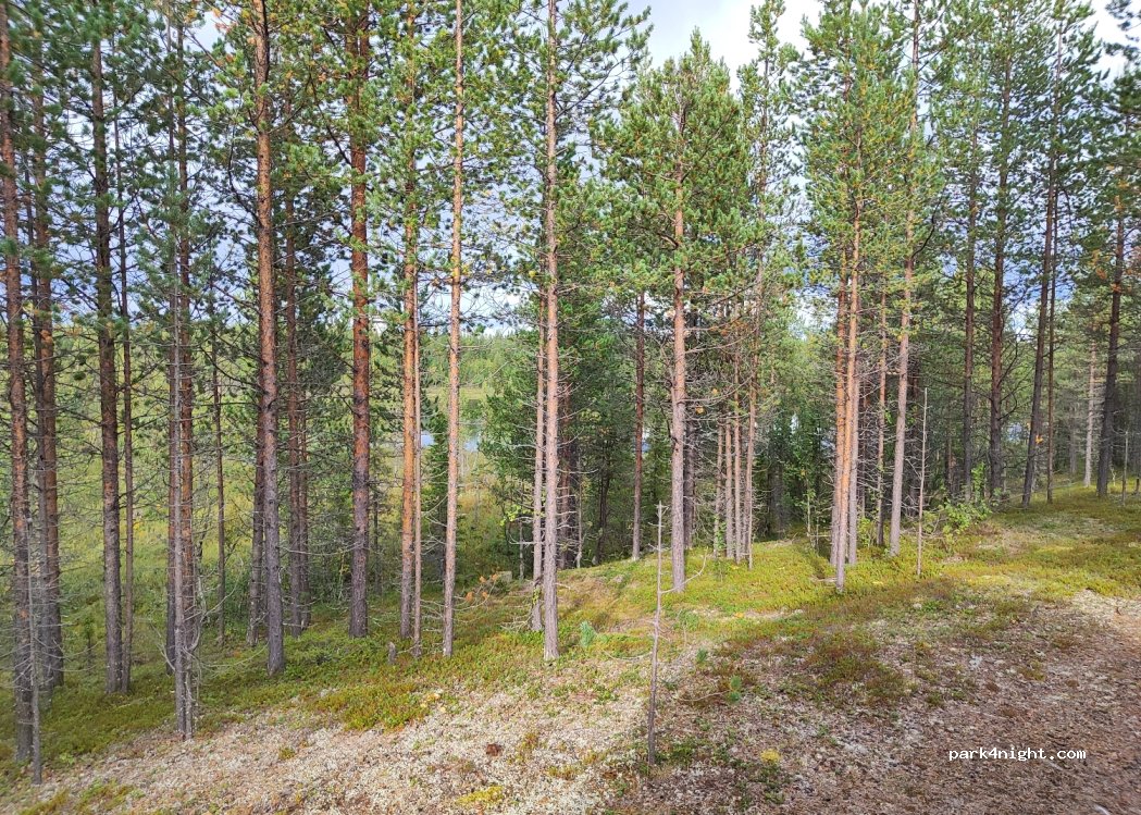 (981 91) Jukkasjärvi - — foto 3