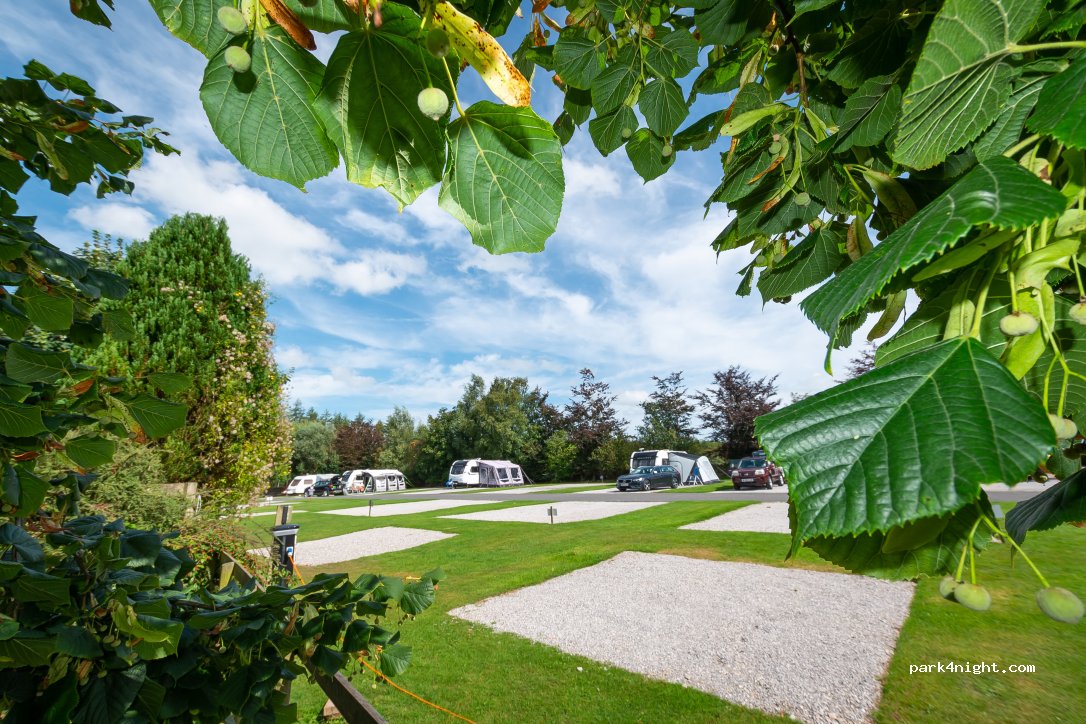 Longnor Wood Holiday Park — foto 3
