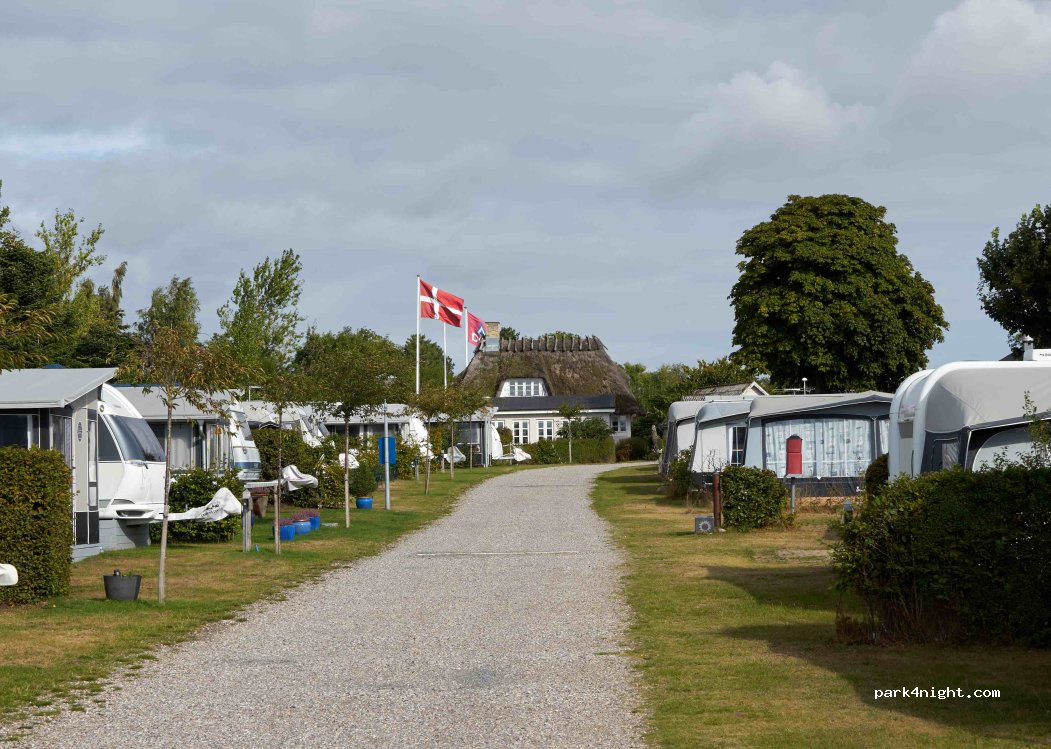 Løgismosestrand Camping — foto 3