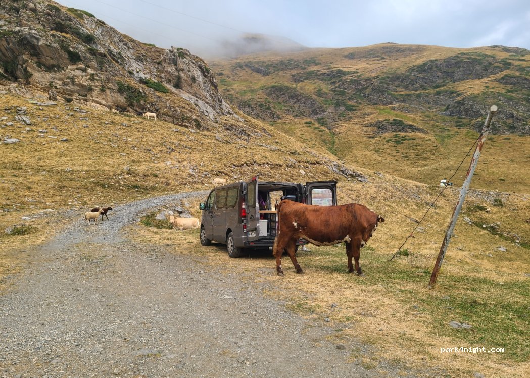 (65120) Gavarnie-Gèdre - — foto