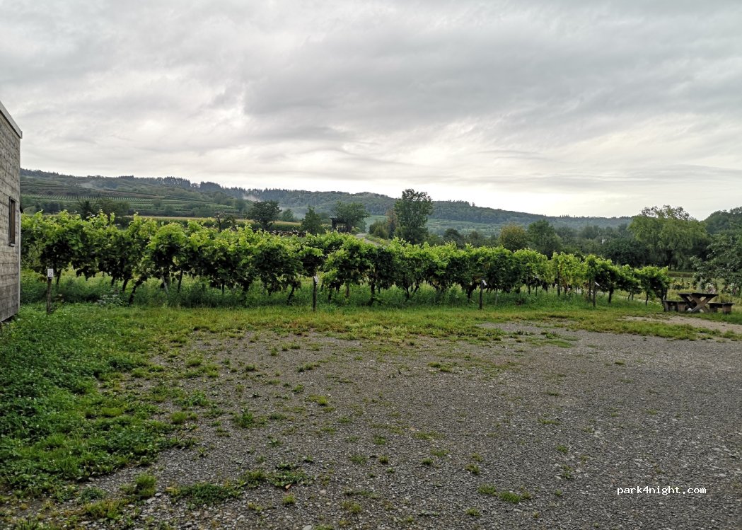 Wohnmobilstellplatz Weingut Köbelin — foto