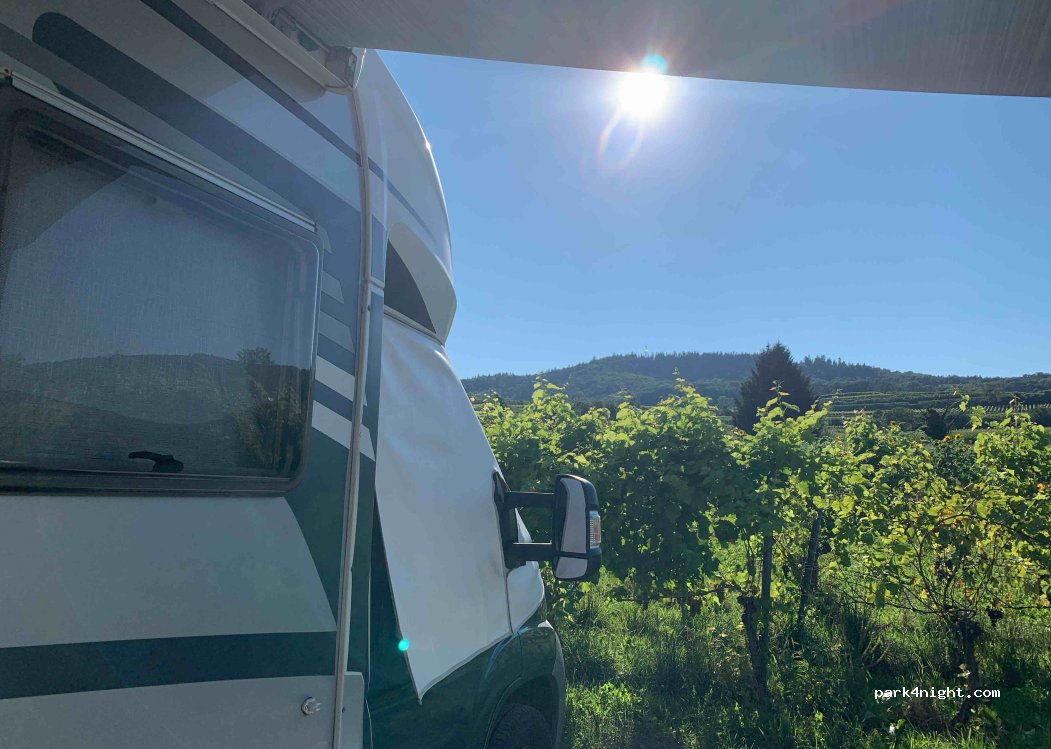 Wohnmobilstellplatz Weingut Köbelin — foto 4