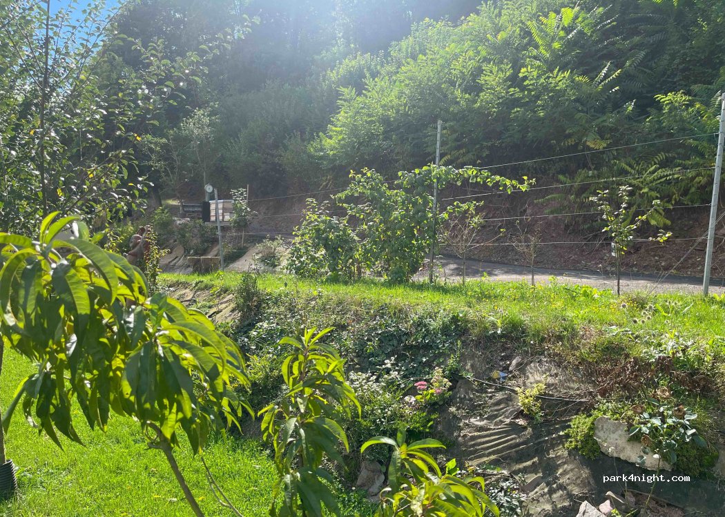 (54459) Wiltingen - 344 Zum Schlossberg — foto 3
