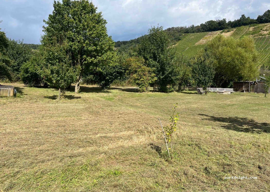 (54459) Wiltingen - 344 Zum Schlossberg — foto 4