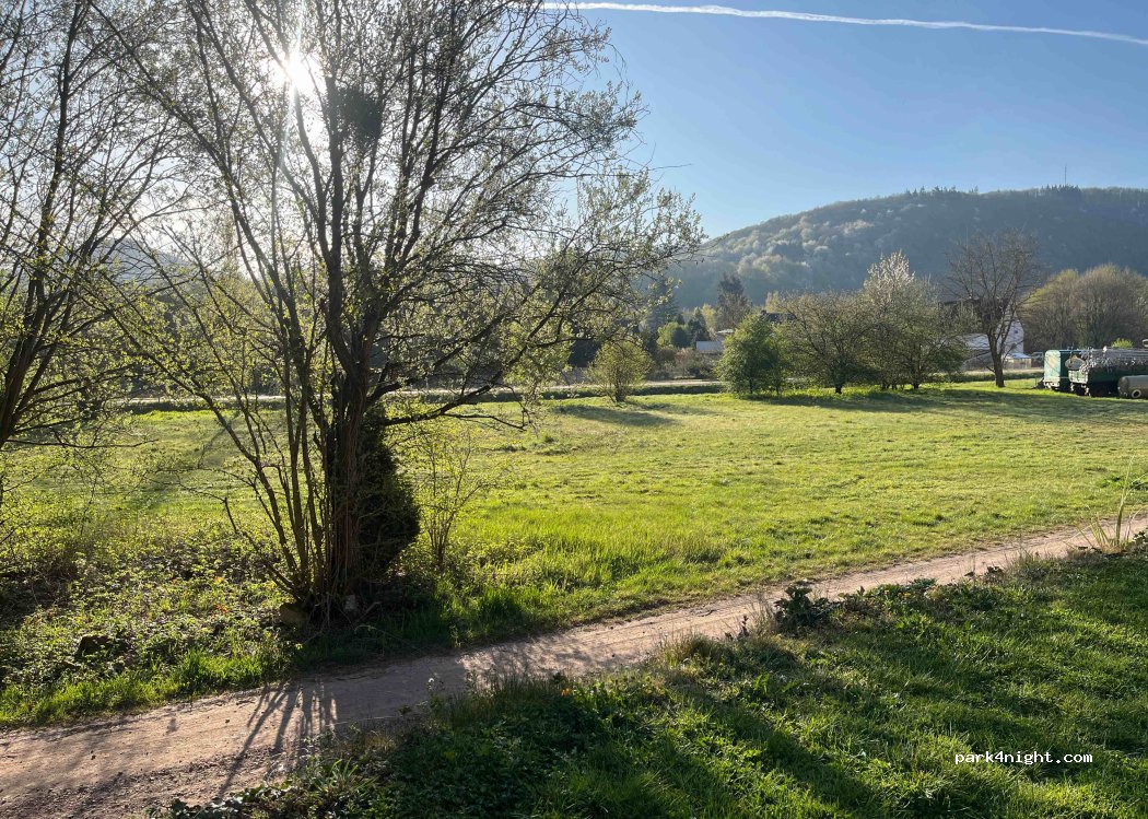 (54459) Wiltingen - 344 Zum Schlossberg — foto 5