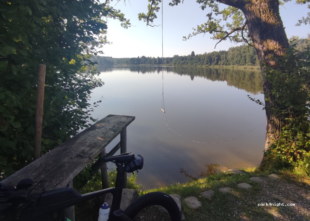 (86865) Markt Wald - MN9 — foto