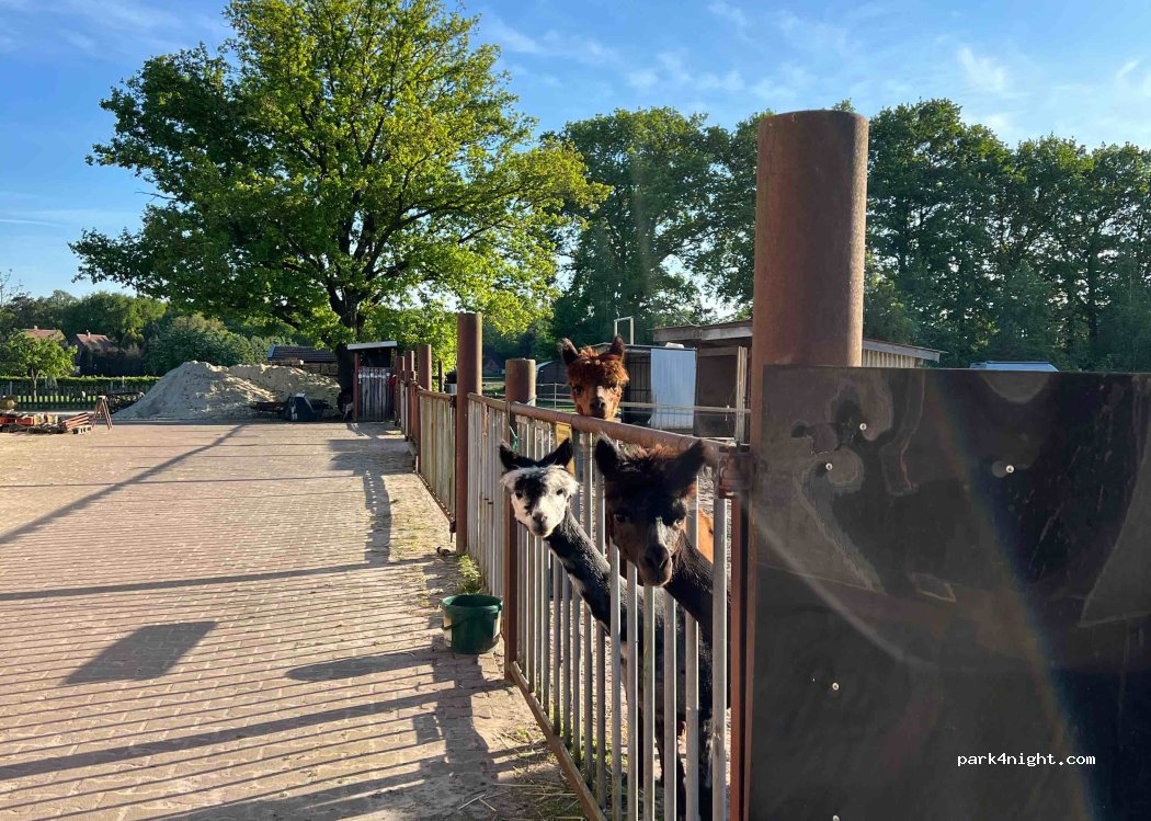 Ferienhof Ferienwohnungen — foto 4