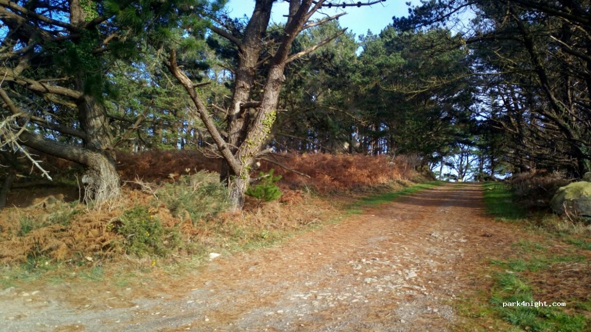 (29100) Poullan-sur-Mer - Linguer — foto