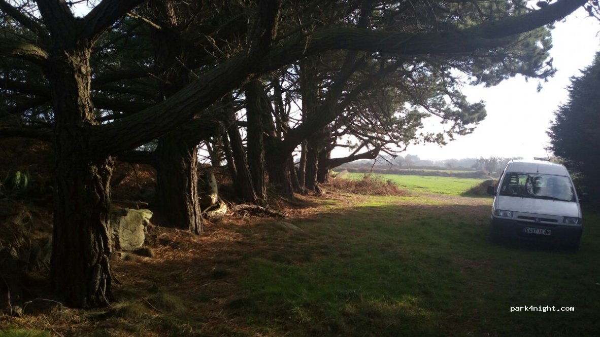 (29100) Poullan-sur-Mer - Linguer — foto 3