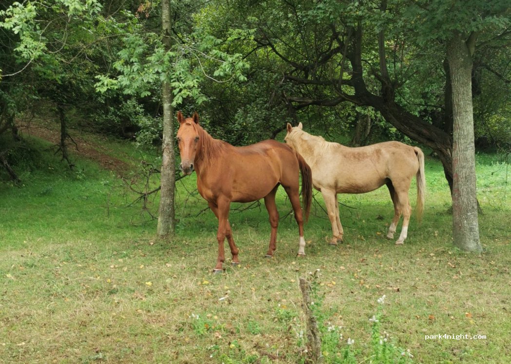 (48500) Abanto-Zierbena - Unnamed Road — foto 2