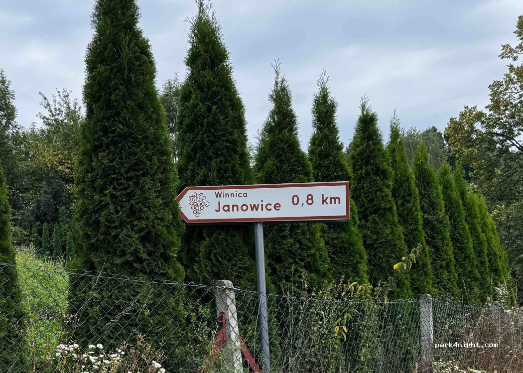 (33) Janowice - — foto
