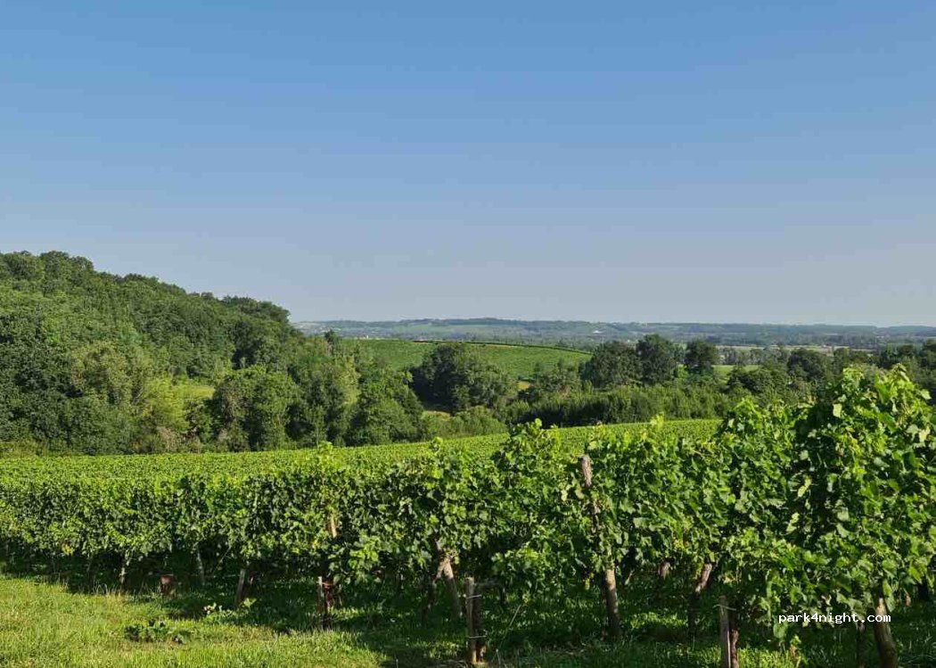 Chateau Tour La Cadie — foto 2