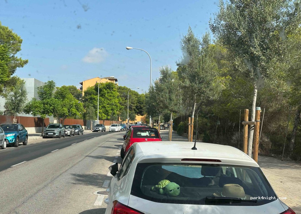 (07600) Palma - 26 Avinguda de Fra Joan Llabrés — foto
