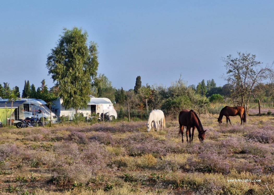 Aire Camping-Car LES PEUPLIERS — foto 3