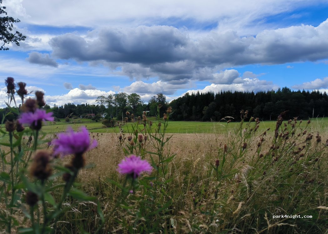 (341 55) Vittaryd - Simmarp Mellangarden 1 — foto 2