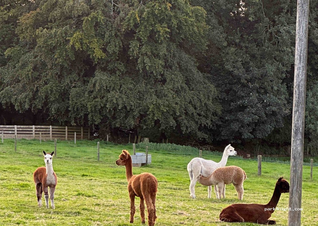Nettwood Farm — foto 2