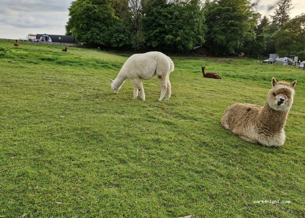 Nettwood Farm — foto 4