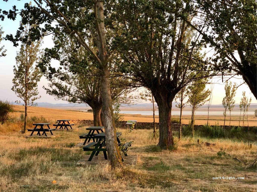 (50373) Gallocanta - Unnamed Road — foto 2