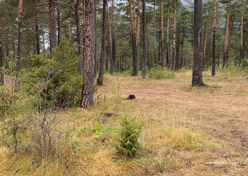 (06850) Saint-Auban - 395 Chemin des Viviers — foto 2