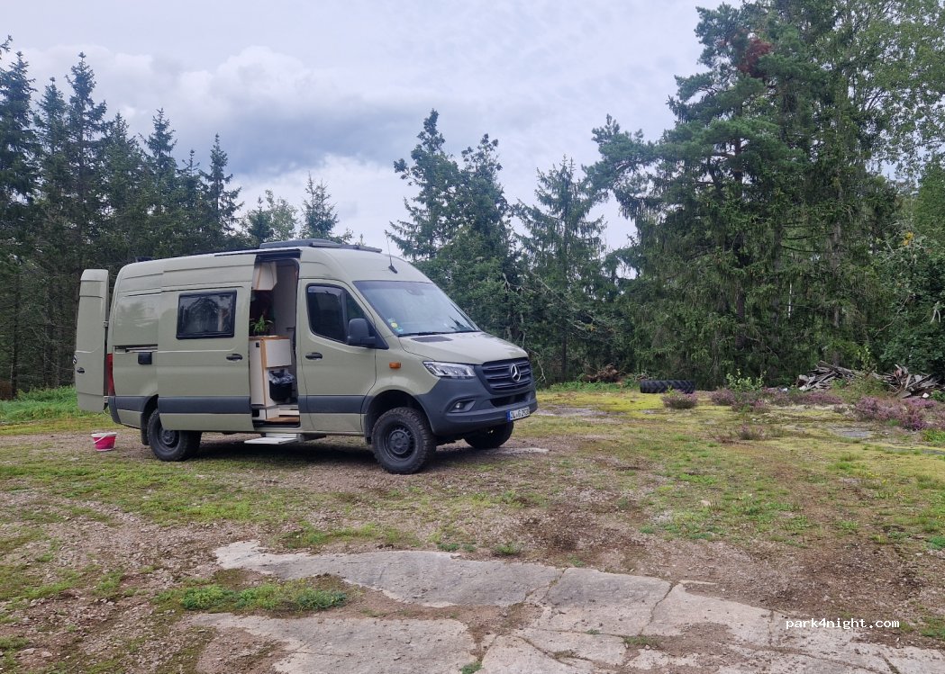 (593 73) Hjorted - — foto