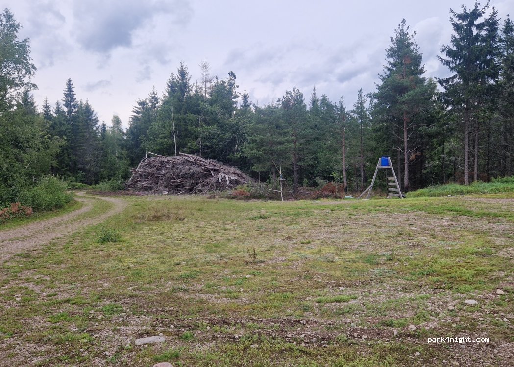 (593 73) Hjorted - — foto 2