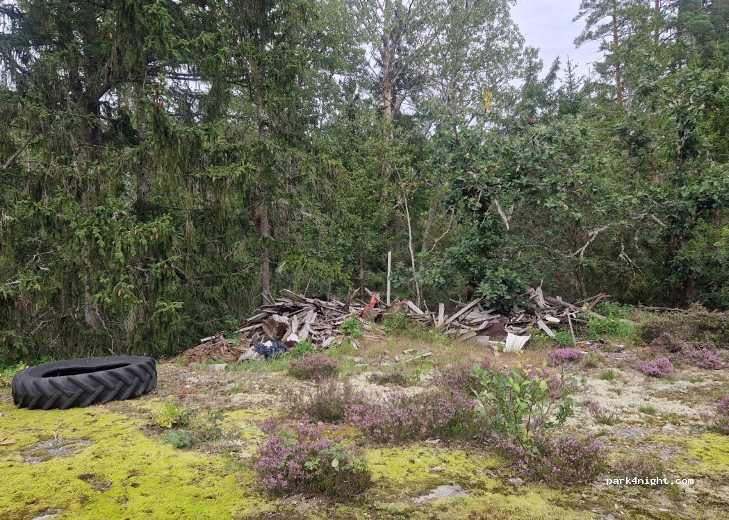 (593 73) Hjorted - — foto 4
