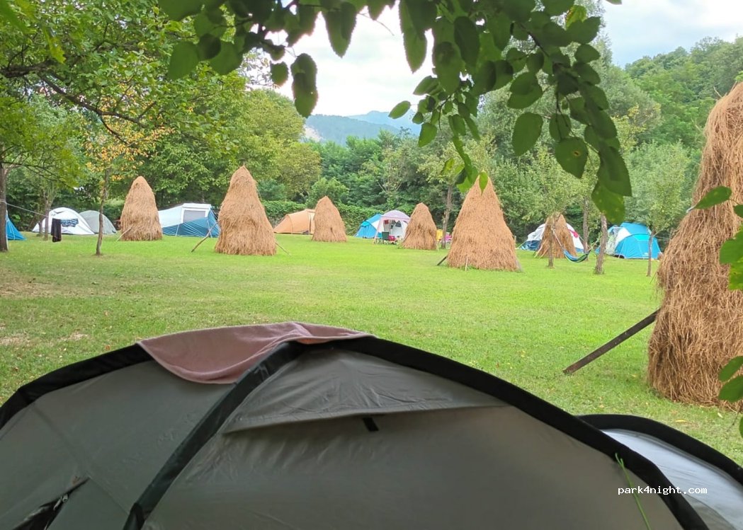 Camping Grădina cu flori — foto 2