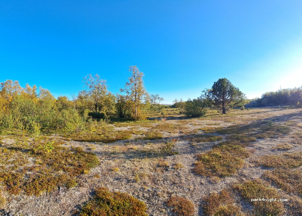 (99950) Kariganiesmi - 40 Luomusjärventie — foto