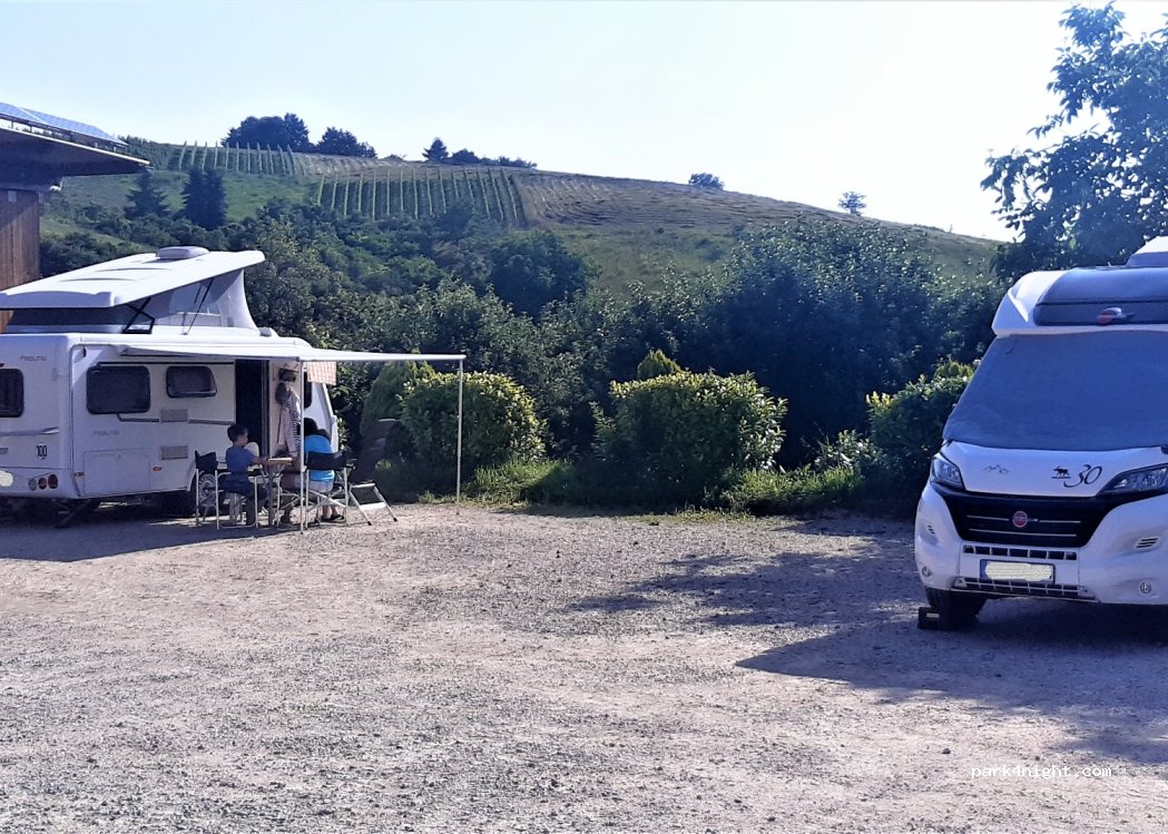 Ökologischer Land- & Weinbau Seitz — foto