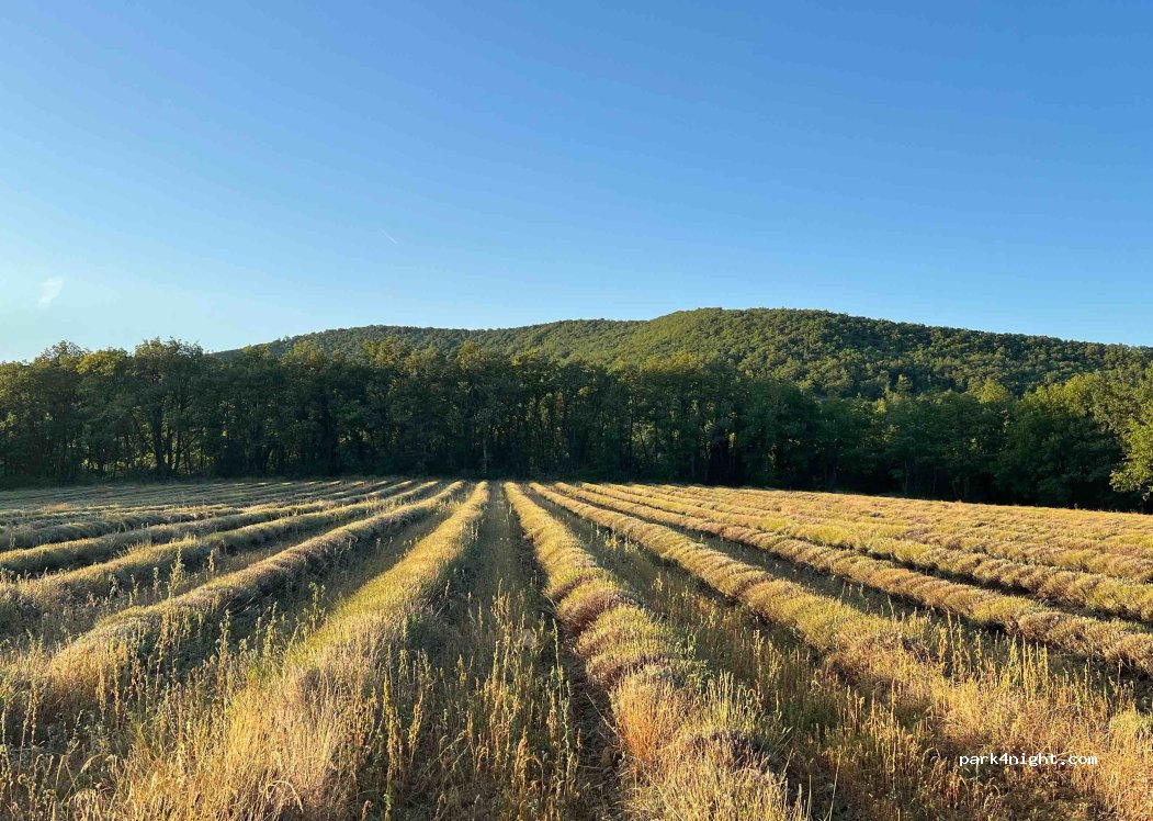 Aire Naturelle Les Lavandes — foto 4