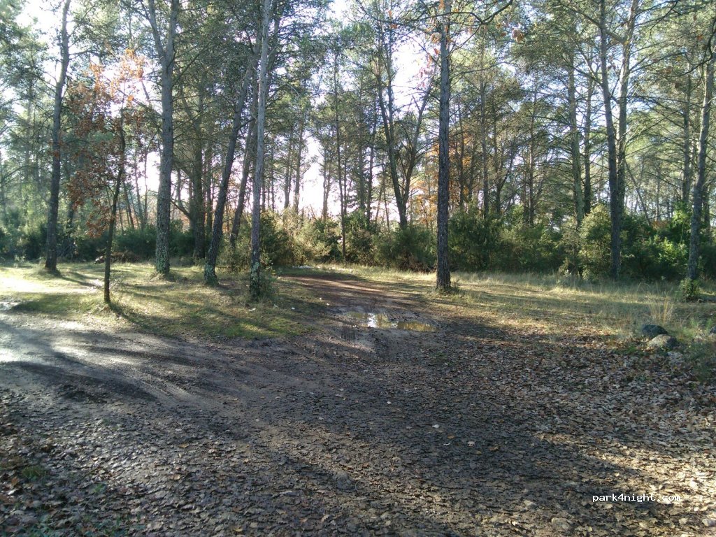 (83720) Trans-en-Provence - 2431-2481 Chemin du Cassivet — foto