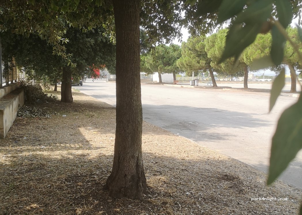 (70054) Giovinazzo - 33 Via Giacomo Matteotti — foto 3