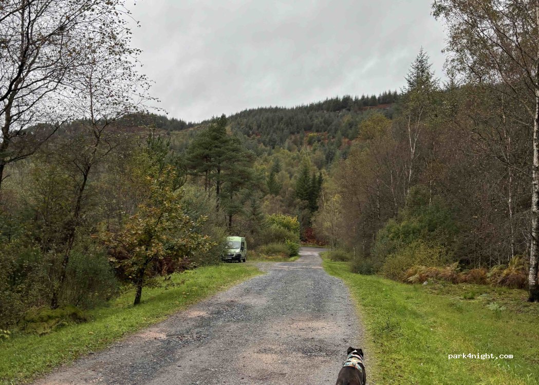 (DG8 6SS) Newton Stewart - — foto 2