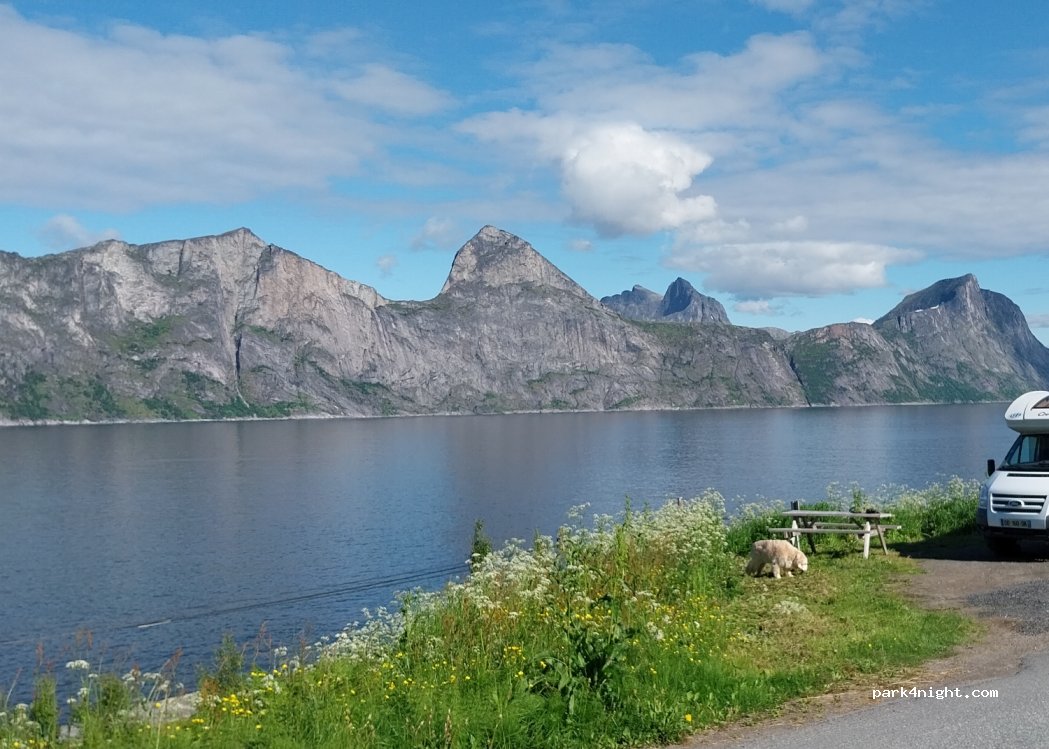 (9386) Senjahopen - — foto 3